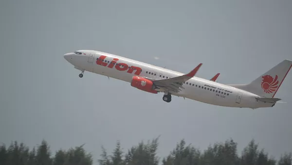 媒體：墜海獅航客機機組人員為使飛機恢復控制努力至最後一刻 - 俄羅斯衛星通訊社