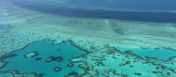 Вид на Большой Барьерный риф в Австралии - 俄罗斯卫星通讯社