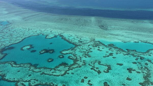 Вид на Большой Барьерный риф в Австралии - 俄罗斯卫星通讯社