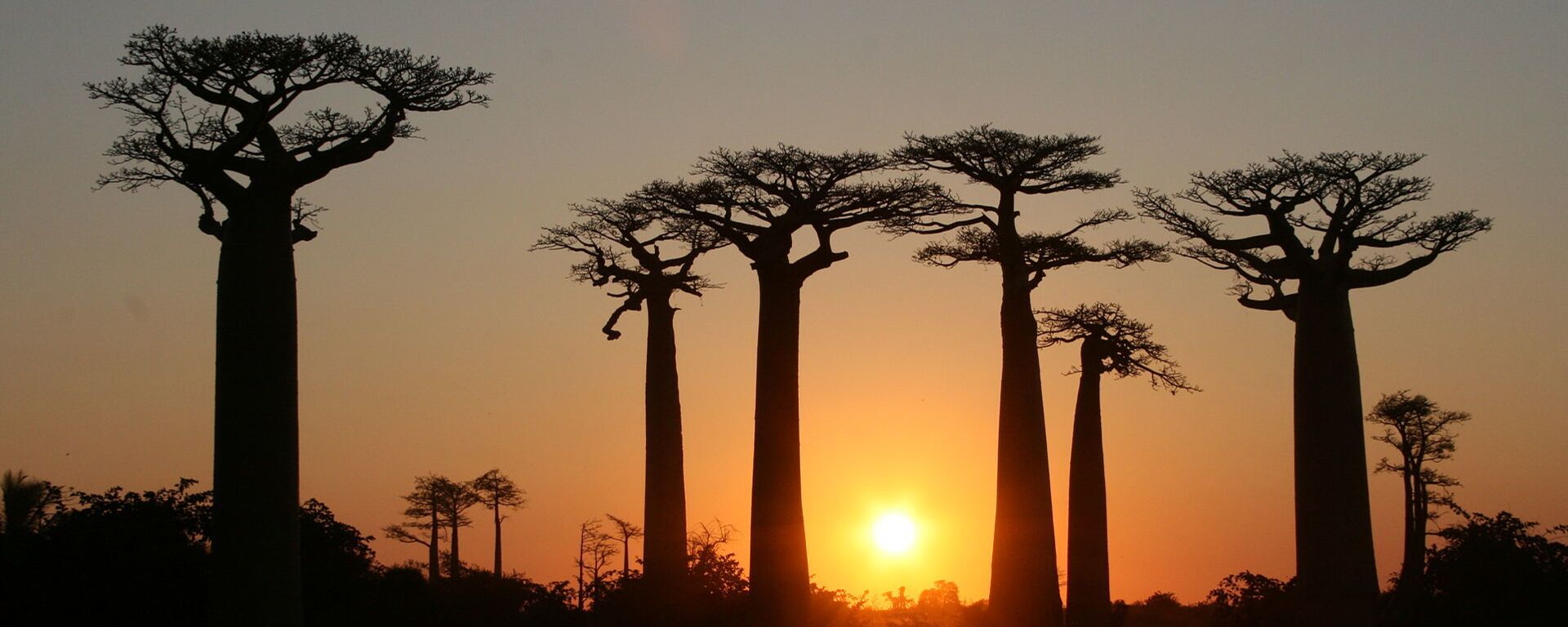 马达加斯加总统宣布解散政府，联合国呼吁彻查暴力事件 - 俄罗斯卫星通讯社, 1920, 30.09.2025