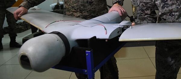 无人机 - 俄罗斯卫星通讯社