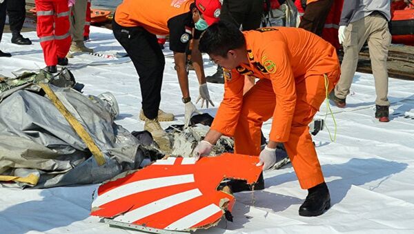 印尼救援人员发现10具狮航空难遇难者遗体 - 俄罗斯卫星通讯社