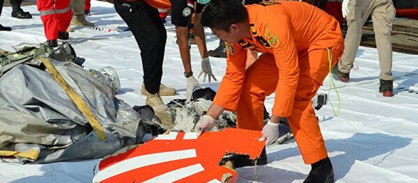 印尼救援人員發現10具獅航空難遇難者遺體 - 俄羅斯衛星通訊社