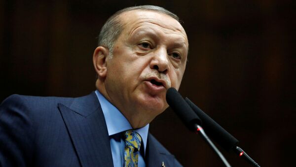 土耳其总统：土美两国就叙利亚局势达成共识 - 俄罗斯卫星通讯社