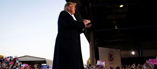 特朗普拟废除美国落地国籍制度 - 俄罗斯卫星通讯社