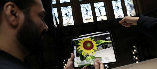 新款iPad Pro - 俄罗斯卫星通讯社