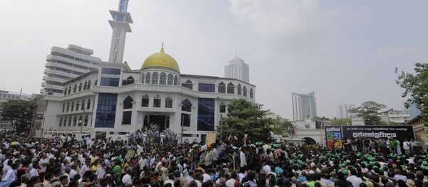 中国对斯里兰卡事件的谨慎反应有助于整个南亚稳定 - 俄罗斯卫星通讯社