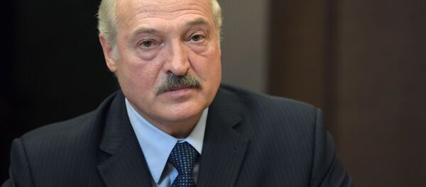 卢卡申科：俄白两国在研究措施回应波兰建美军基地的计划 - 俄罗斯卫星通讯社