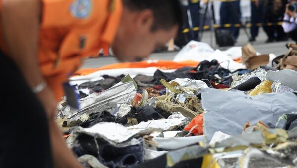 印尼狮航空难飞机黑匣子被找到 - 俄罗斯卫星通讯社