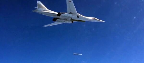 俄防长：图-160战略轰炸机于11月完成Х-101导弹试射 - 俄罗斯卫星通讯社