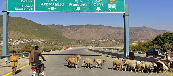 中巴金融合作模式尚留懸念 中巴金融合作模式尚留懸念 - 俄羅斯衛星通訊社