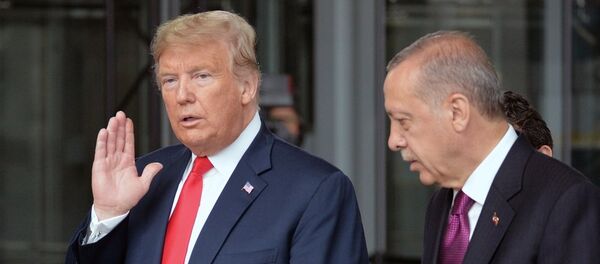 消息人士：埃尔多安和特朗普通电话讨论叙利亚局势问题 - 俄罗斯卫星通讯社