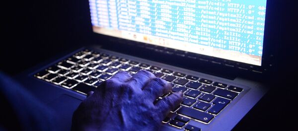 Вирус-вымогатель на экране ноутбука - 俄羅斯衛星通訊社