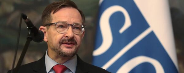 Генеральный секретарь ОБСЕ Томас Гремингер на пресс-конференции после встречи с министром иностранных дел РФ Сергеем Лавровым в Москве. - 俄羅斯衛星通訊社