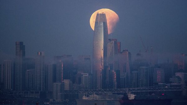 旧金山最高摩天大楼Salesforce塔 - 俄罗斯卫星通讯社