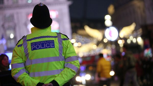 伦敦警方：一名女子因音乐会踩踏事件重伤身亡 - 俄罗斯卫星通讯社