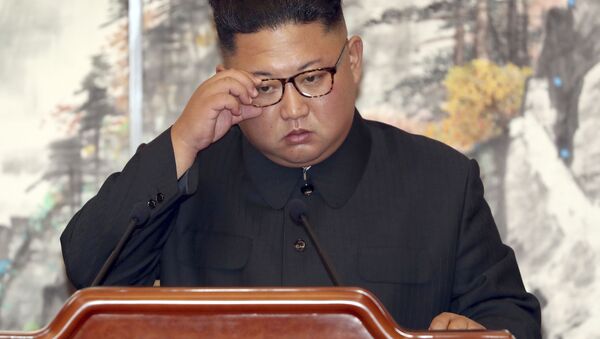 韓媒：朝鮮領導人金正恩去年公開活動98次 同比大幅增加 - 俄羅斯衛星通訊社