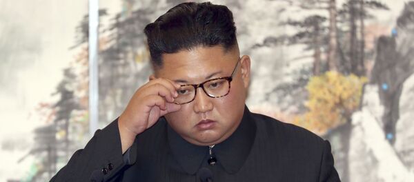 韓媒：朝鮮領導人金正恩去年公開活動98次 同比大幅增加 - 俄羅斯衛星通訊社