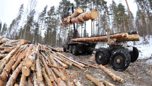Рубка леса в Челябинской области - 俄罗斯卫星通讯社
