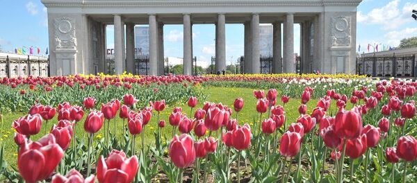 莫斯科高爾基文化公園 - 俄羅斯衛星通訊社