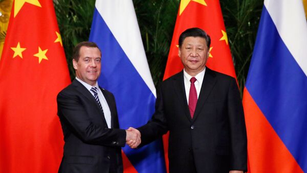 俄罗斯总理梅德韦杰夫5日与中国国家主席习近平举行会晤 - 俄罗斯卫星通讯社