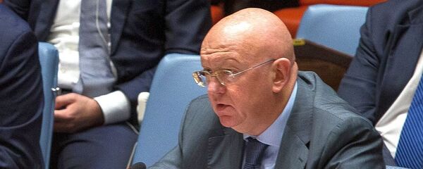 瓦西里∙涅边贾 - 俄罗斯卫星通讯社