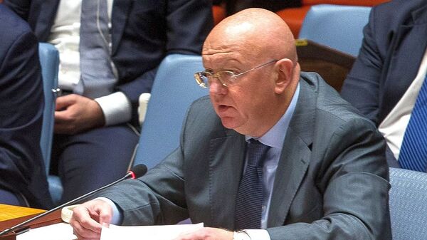 俄罗斯常驻联合国代表瓦西里·涅边贾 - 俄罗斯卫星通讯社