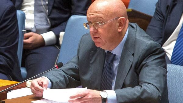 俄常驻联合国代表：俄罗斯谴责乌克兰民族主义者在居民区部署武器