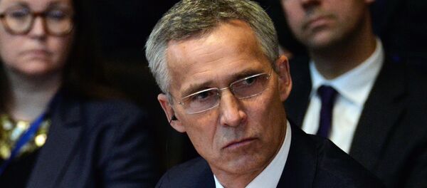 將針對《中導條約》被廢採取一致行動 - 俄羅斯衛星通訊社