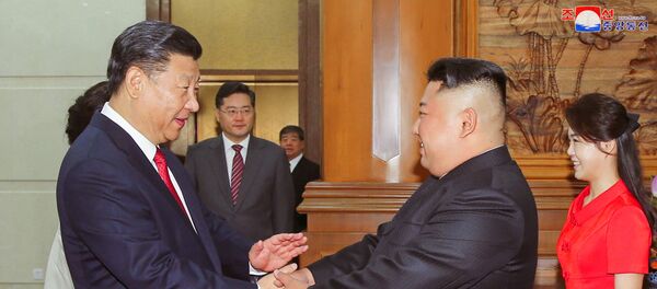 习近平和金正恩 习近平和金正恩 - 俄罗斯卫星通讯社