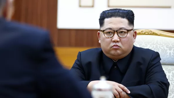 專家回應金正恩可能訪俄消息 - 俄羅斯衛星通訊社