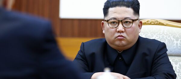 专家回应金正恩可能访俄消息 - 俄罗斯卫星通讯社