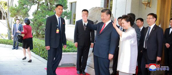 習近平訪問平壤：暫未確認，但有計劃 - 俄羅斯衛星通訊社