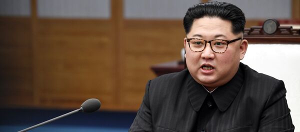 金正恩重申将致力于实现无核化和改善与美韩关系 - 俄罗斯卫星通讯社
