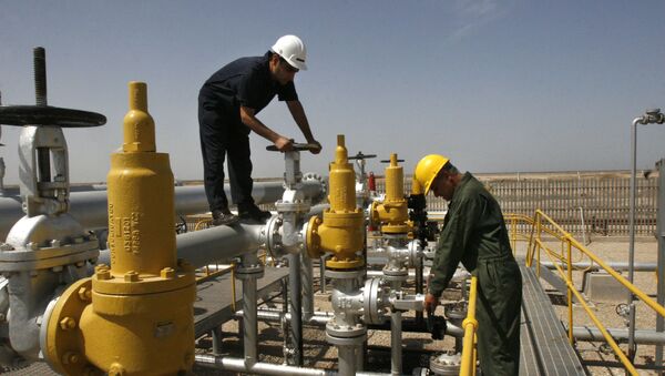 欧洲100余家公司准备与伊朗在石油领域合作 - 俄罗斯卫星通讯社