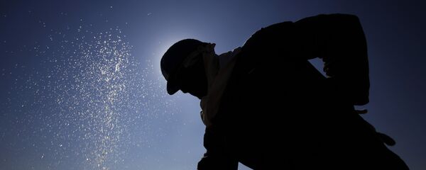 卫星社统计俄罗斯高薪职业 - 俄罗斯卫星通讯社