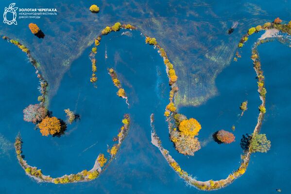 金龜國際野生自然節最佳攝影作品 - 俄羅斯衛星通訊社