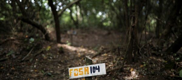 墨西哥正在寻找一处埋有约500具遗骸的群葬地 - 俄罗斯卫星通讯社