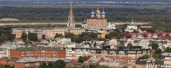 梁贊 - 俄羅斯衛星通訊社