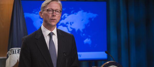 布莱恩•胡克 - 俄罗斯卫星通讯社