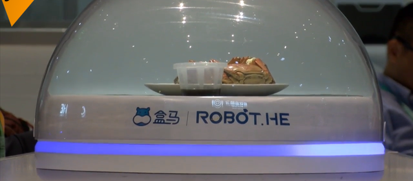 阿里無人餐廳機器人取代服務員 - 俄羅斯衛星通訊社