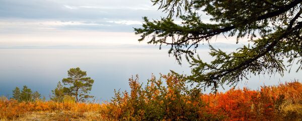 貝加爾湖 - 俄羅斯衛星通訊社