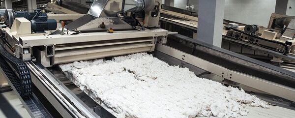 紙漿廠 - 俄羅斯衛星通訊社