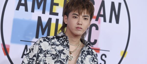 媒體:中國追星族被控在美欺詐刷榜 媒體:中國追星族被控在美欺詐刷榜 - 俄羅斯衛星通訊社