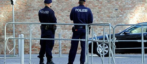 媒体：奥地利外长因间谍丑闻取消访俄 - 俄罗斯卫星通讯社