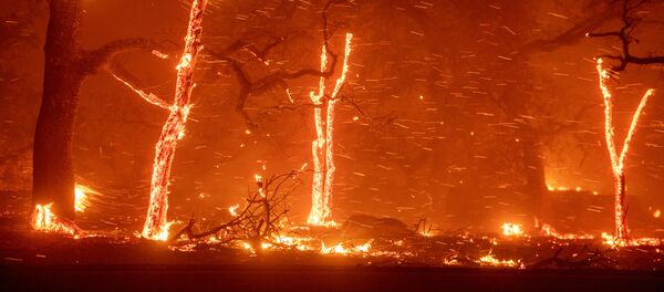 美国加州洛杉矶因森林火灾宣布疏散马里布市居民 - 俄罗斯卫星通讯社