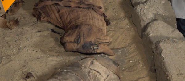 埃及發現7座古墓葬 大量動物木乃伊出土 - 俄羅斯衛星通訊社