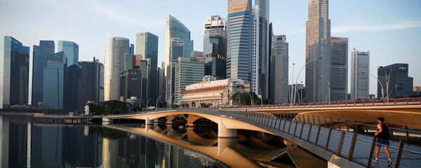 中国与新加坡签署《自由贸易协定升级议定书》 - 俄罗斯卫星通讯社