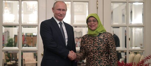 普京称他与新加坡总统的会谈富有成果 - 俄罗斯卫星通讯社