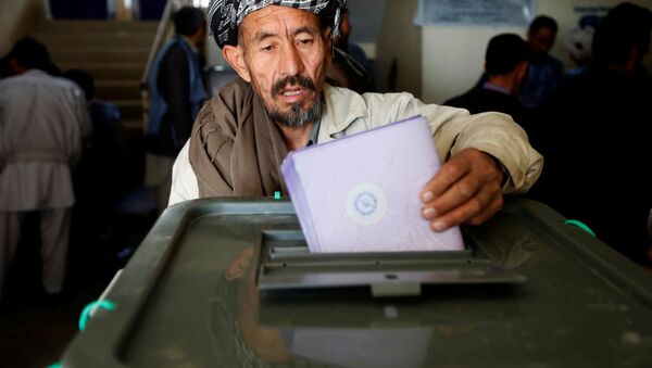 阿富汗总统发言人：阿富汗将按照计划举行总统大选 - 俄罗斯卫星通讯社